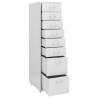 Classeur mobile Gris 28x41x109 cm Métal 620499620499
