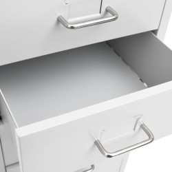 Classeur mobile Gris 28x41x109 cm Métal 620499620499