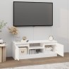 Meuble TV avec porte Blanc 102x30x36 cm 620615620615
