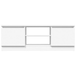 Meuble TV avec porte Blanc 102x30x36 cm 620615620615