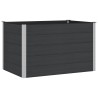 Jardinière surélevée Noir 150 x 100 x 91 cm 620642620642