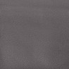 Ensemble de canapés 2 pcs avec coussins Gris Similicuir 620762620762