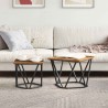 Ensemble de tables d'appoint 2 pcs bois recyclé 620811620811