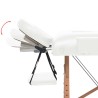 Table de massage pliable à 2 zones 10 cm d'épaisseur Blanc 620963620963