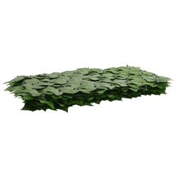 Écran de balcon avec feuilles Vert 200 x 150 cm 620993620993