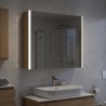 Armoire Miroir de Salle de Bain Chêne artisan 621027621027