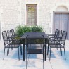Ensemble à manger de jardin 9 pcs noir verre et acier 621031621031