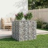 Lit surélevé gabion 2 pcs Argenté 621200621200
