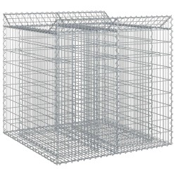 Lit surélevé gabion 2 pcs Argenté 621200621200