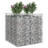 Lit surélevé gabion 2 pcs Argenté 621200621200