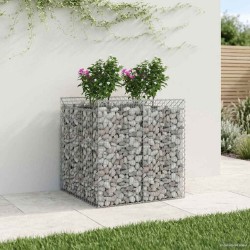 Lit surélevé gabion 2 pcs Argenté 621200621200