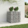 Lit surélevé gabion 2 pcs Argenté 621200621200