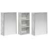 Ensemble de Meubles de Salle de Bain 3 pcs 116 x 16 x 62,5 cm 621253621253