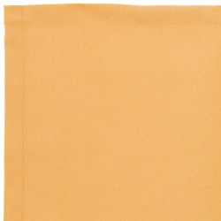 Toile de rechange pour auvent Sable 3,5 x 2,5 m Polyester 621376621376