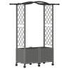 Lit Élevé avec Treillis et Toit Gris clair 125 x 40 x 144 cm PP 621490621490