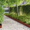 Bordure de Pelouse 10 pcs 103 x 15 cm Acier Rouillé 621681621681