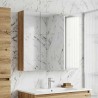 Armoire Miroir de Salle de Bain Chêne artisan 621722621722