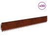 Bordure de Pelouse 30 pcs 103 x 15 cm Acier Rouillé 621774621774