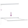 Auvent rétractable Gris clair 300 x 250 cm Toile et Aluminium 621964621964