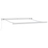 Auvent rétractable Vert et blanc 300 x 250 cm 622021622021