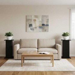 Support de Plante 2 pcs Noir 30,5 x 30 x 60,5 cm 622136622136