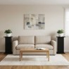 Support de Plante 2 pcs Noir 30,5 x 30 x 60,5 cm 622136622136
