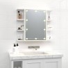 Armoire à miroir avec LED Blanc 70x16,5x60 cm 622138622138