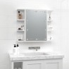 Armoire à miroir avec LED Blanc 70x16,5x60 cm 622138622138