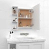 Armoire à miroir avec LED Blanc 70x16,5x60 cm 622138622138