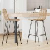 Chaise de bar 2 pcs 44 x 52 x 111 cm Rotin et métal 622147622147