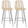 Chaise de bar 2 pcs 44 x 52 x 111 cm Rotin et métal 622147622147