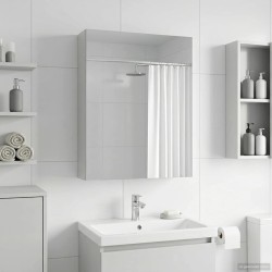 Armoire Miroir de Salle de Bain Blanc 50 x 14,5 x 70 cm 622236622236