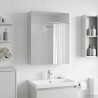 Armoire Miroir de Salle de Bain Blanc 50 x 14,5 x 70 cm 622236622236