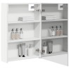 Armoire Miroir de Salle de Bain Blanc 50 x 14,5 x 70 cm 622236622236