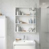 Armoire Miroir de Salle de Bain Blanc 50 x 14,5 x 70 cm 622236622236