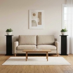 Support de Plante 2 pcs Noir 30,5 x 30 x 80,5 cm 622269622269