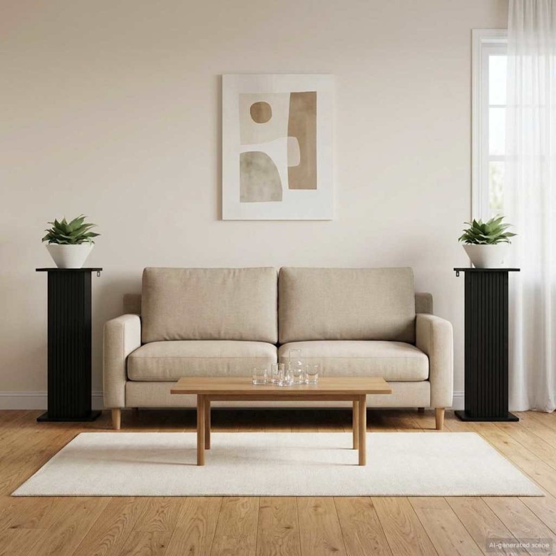Support de Plante 2 pcs Noir 30,5 x 30 x 80,5 cm 622269622269