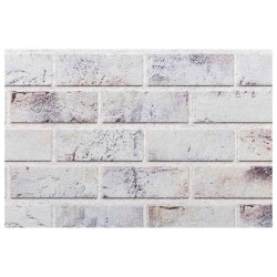 Panneaux muraux 10 pcs Gris clair et noir 100 x 50 cm 622307622307