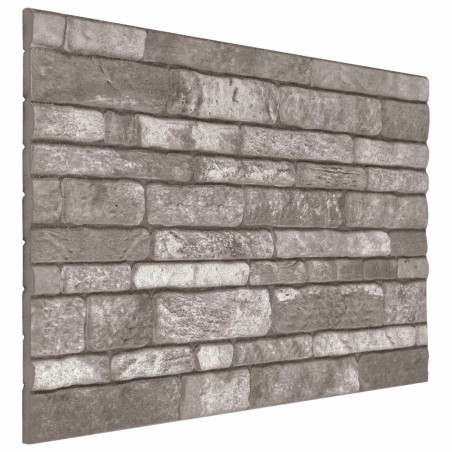 Panneaux muraux 10 pcs Gris foncé 100 x 50 cm Mousse EPS 622308622308