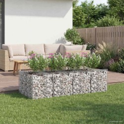 Lit surélevé gabion 2 pcs Argenté 622416622416