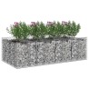 Lit surélevé gabion 2 pcs Argenté 622416622416