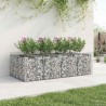Lit surélevé gabion 2 pcs Argenté 622416622416