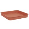 Plateau carré à fleurs 6 pcs Rouge brique 15 x 15 x 2 cm 622528622528