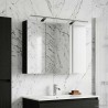 Armoire Miroir de Salle de Bain Chêne noir 100 x 14,5 x 70 cm 622651622651