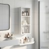 Armoire murale de salle de bain Blanc 30 x 14 x 70 cm 622653622653