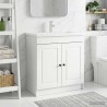 Armoire sous évier de salle de bain Blanc 78,5 x 37,5 x 81 cm 622682622682