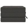 Canapé-lit pliable 75 x 67 x 45 cm Gris foncé 622761622761