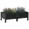 Jardinière avec Roues Noir 80 x 40 x 29 cm PP 622893622893