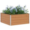 Jardinière surélevée Marron Clair 100 x 100 x 45 cm 622894622894