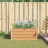 Jardinière surélevée Marron Clair 100 x 100 x 45 cm 622894622894